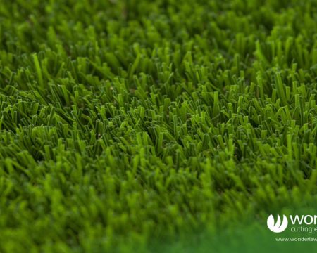 Luxury grass looks like a deep plush lawn