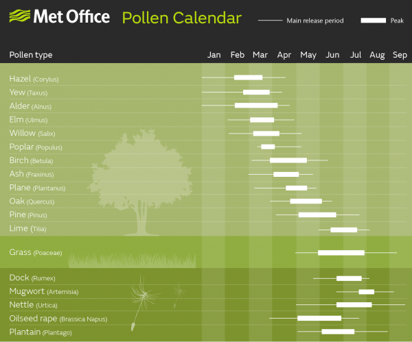 Pollen calendar 